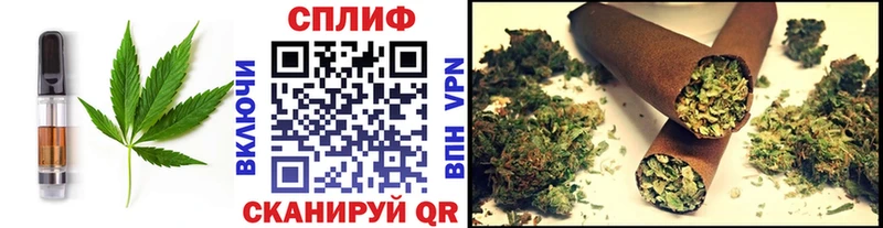 blacksprut tor  Новомичуринск  Cannafood марихуана  где найти наркотики 