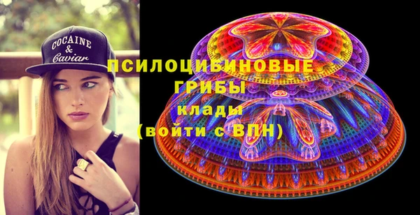 PSILOCYBIN Алзамай