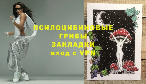 дурь Покачи