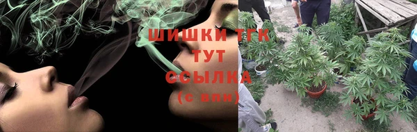 PSILOCYBIN Алзамай