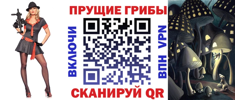 магазин продажи   Новомичуринск  darknet официальный сайт  Псилоцибиновые грибы Psilocybine cubensis 