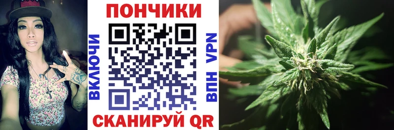 закладка  Новомичуринск  Конопля индика 